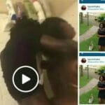Tazvi Mhaka’s Girlfriend Pussy Fucked By Garden Boy