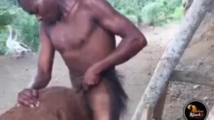 African Bestiality with A Donkey Leaked Online