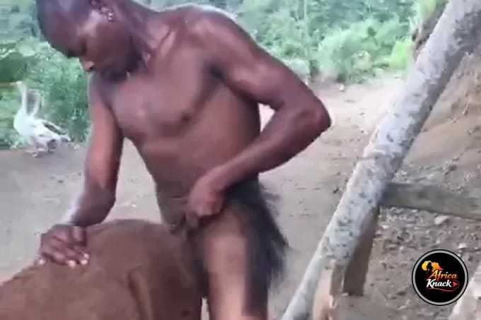 African Bestiality with A Donkey Leaked Online