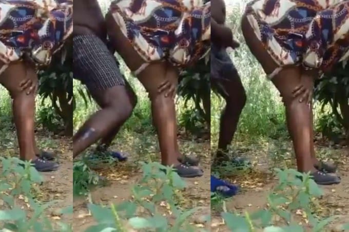 Quickie With my Neighbour's Wife at our Backyard